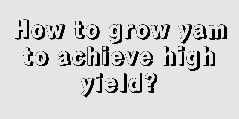 How to grow yam to achieve high yield?