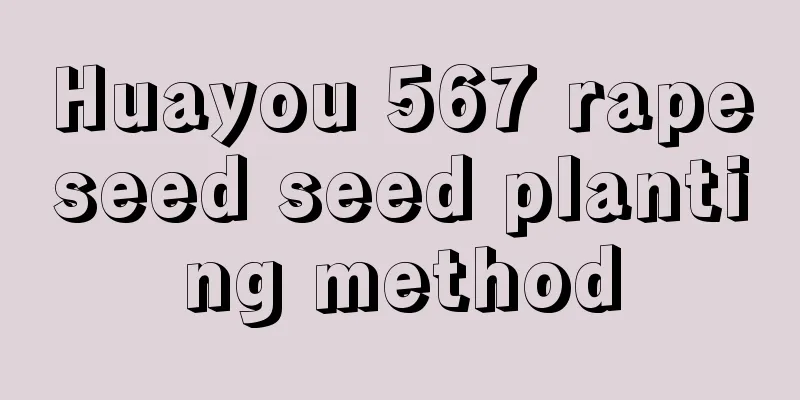 Huayou 567 rapeseed seed planting method