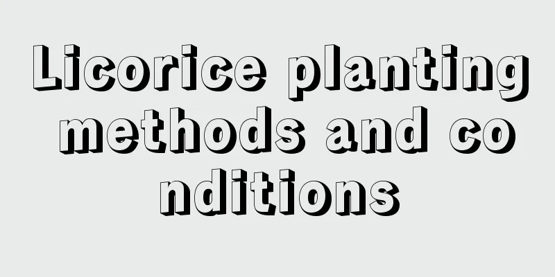 Licorice planting methods and conditions