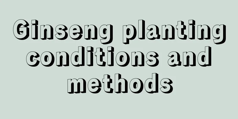 Ginseng planting conditions and methods