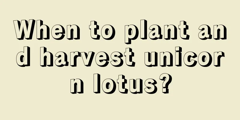 When to plant and harvest unicorn lotus?