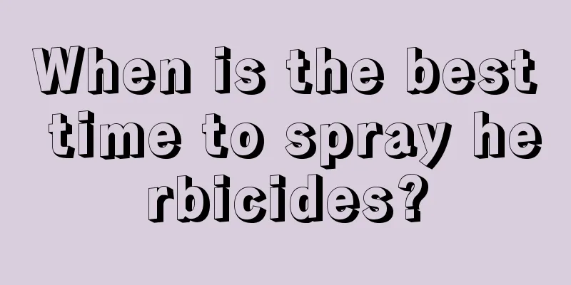 When is the best time to spray herbicides?