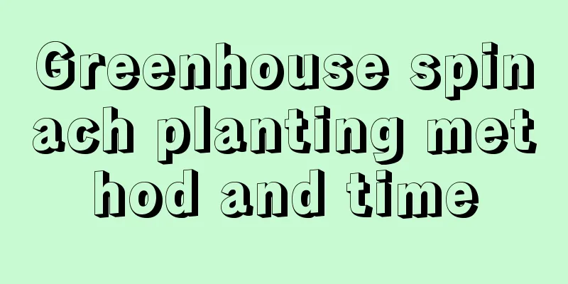 Greenhouse spinach planting method and time