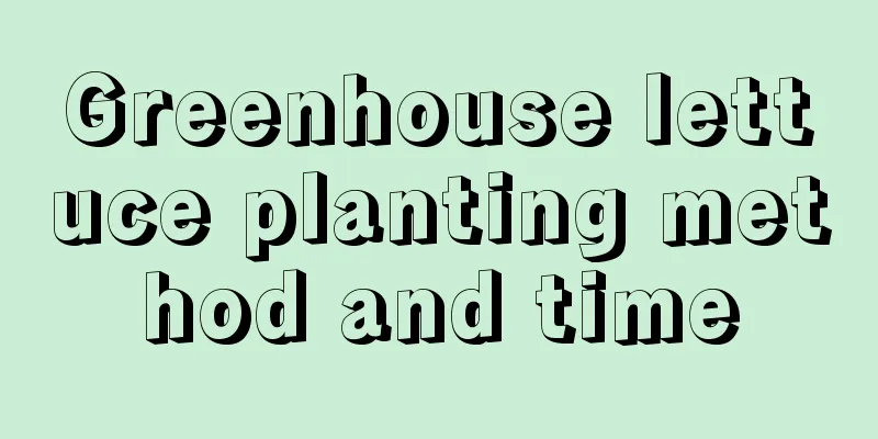 Greenhouse lettuce planting method and time