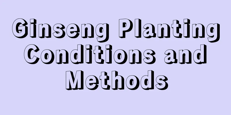 Ginseng Planting Conditions and Methods