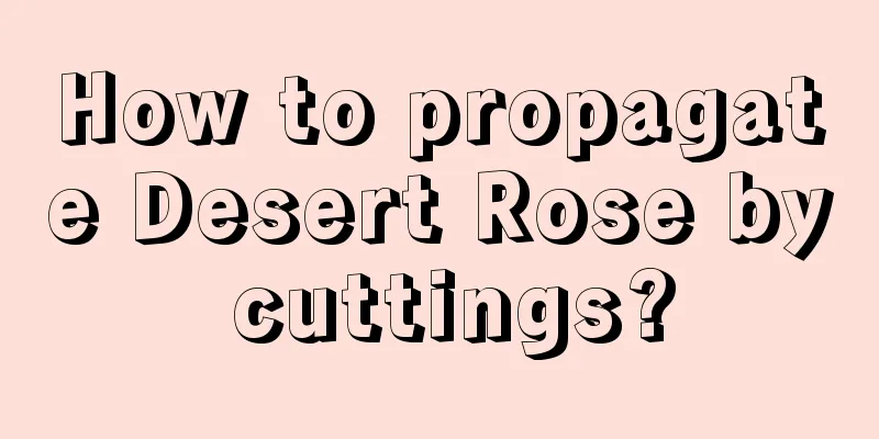 How to propagate Desert Rose by cuttings?