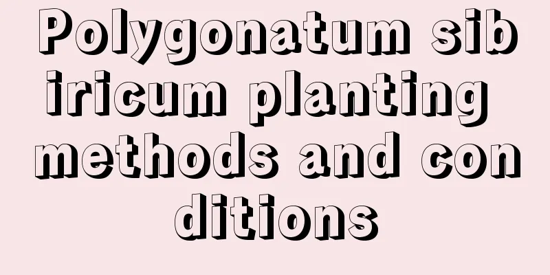 Polygonatum sibiricum planting methods and conditions