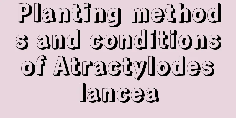 Planting methods and conditions of Atractylodes lancea