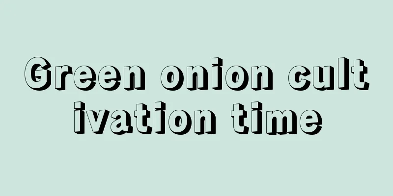 Green onion cultivation time