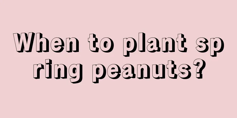 When to plant spring peanuts?