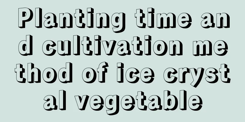 Planting time and cultivation method of ice crystal vegetable