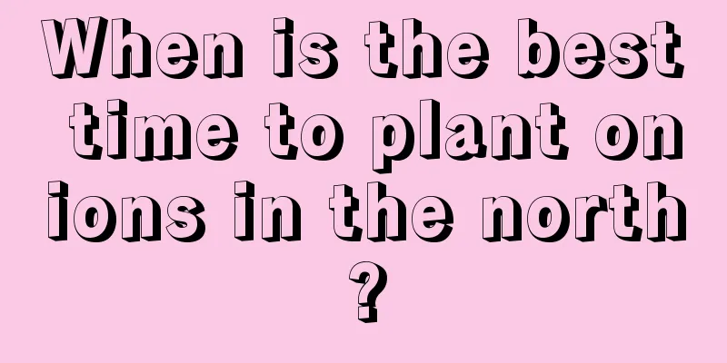 When is the best time to plant onions in the north?