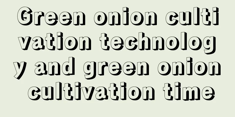 Green onion cultivation technology and green onion cultivation time