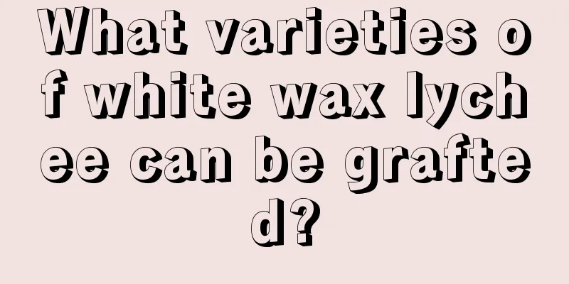 What varieties of white wax lychee can be grafted?