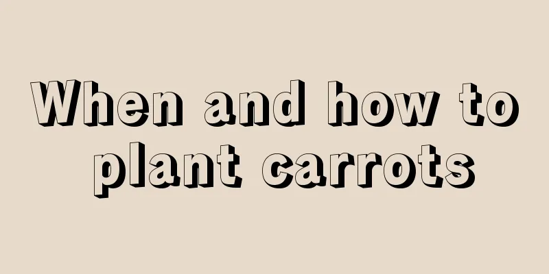 When and how to plant carrots