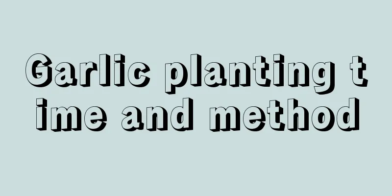 Garlic planting time and method