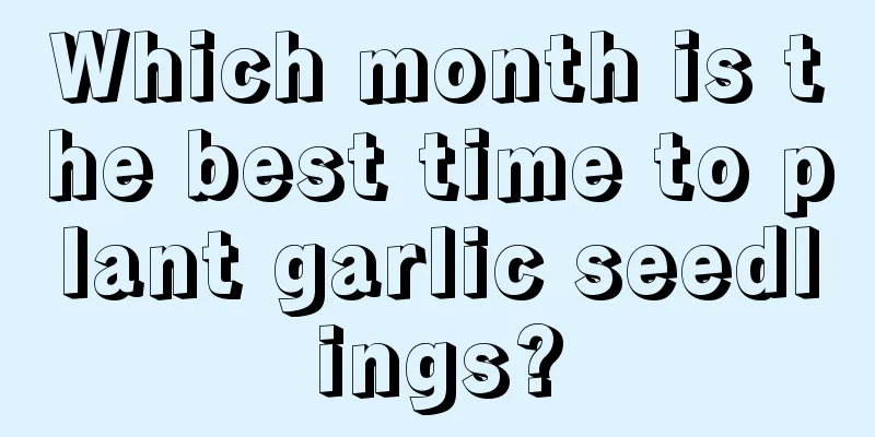 Which month is the best time to plant garlic seedlings?