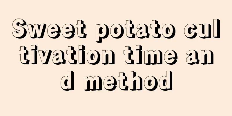 Sweet potato cultivation time and method