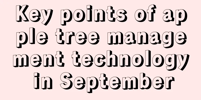 Key points of apple tree management technology in September