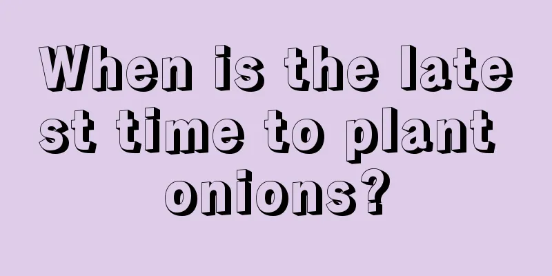 When is the latest time to plant onions?