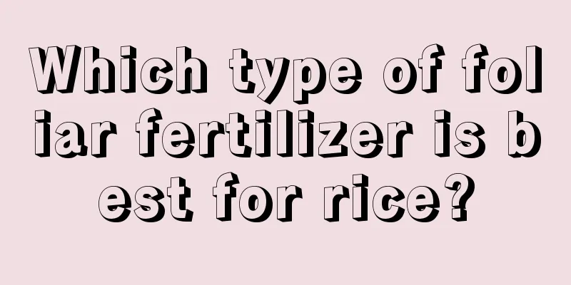 Which type of foliar fertilizer is best for rice?