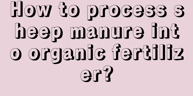 How to process sheep manure into organic fertilizer?