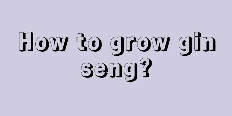 How to grow ginseng?