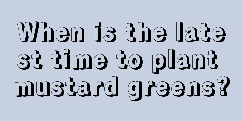 When is the latest time to plant mustard greens?