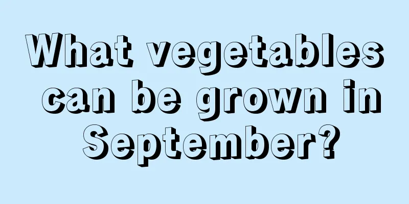 What vegetables can be grown in September?