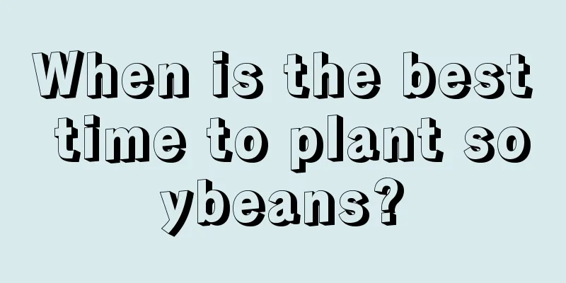 When is the best time to plant soybeans?