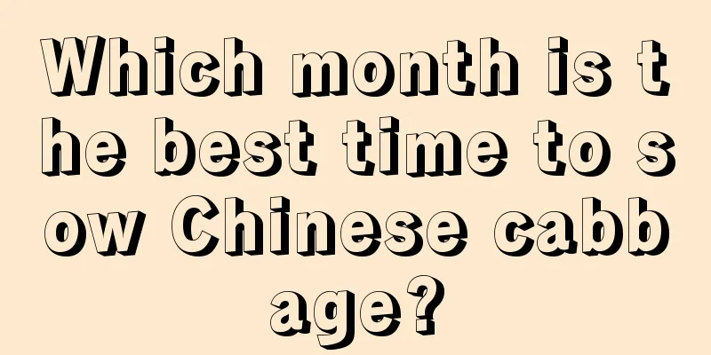 Which month is the best time to sow Chinese cabbage?