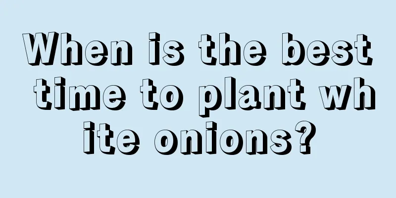 When is the best time to plant white onions?