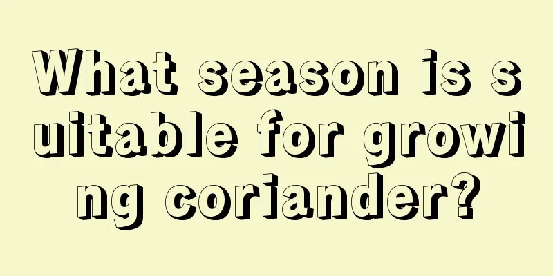 What season is suitable for growing coriander?