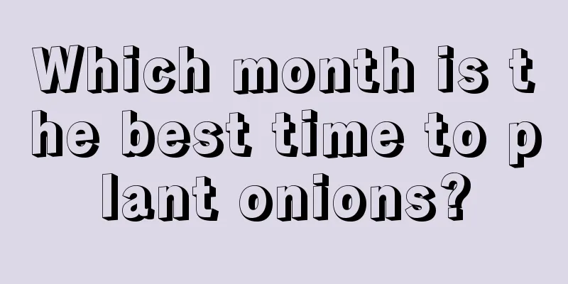 Which month is the best time to plant onions?