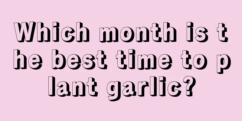 Which month is the best time to plant garlic?