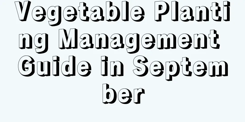 Vegetable Planting Management Guide in September