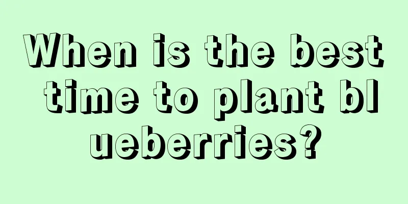 When is the best time to plant blueberries?