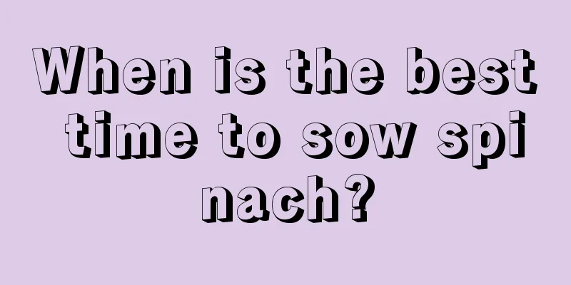 When is the best time to sow spinach?