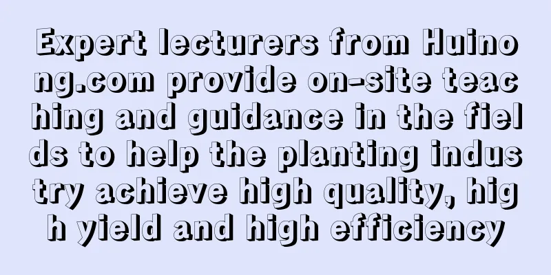 Expert lecturers from Huinong.com provide on-site teaching and guidance in the fields to help the planting industry achieve high quality, high yield and high efficiency