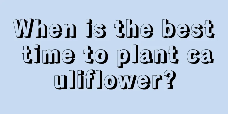 When is the best time to plant cauliflower?