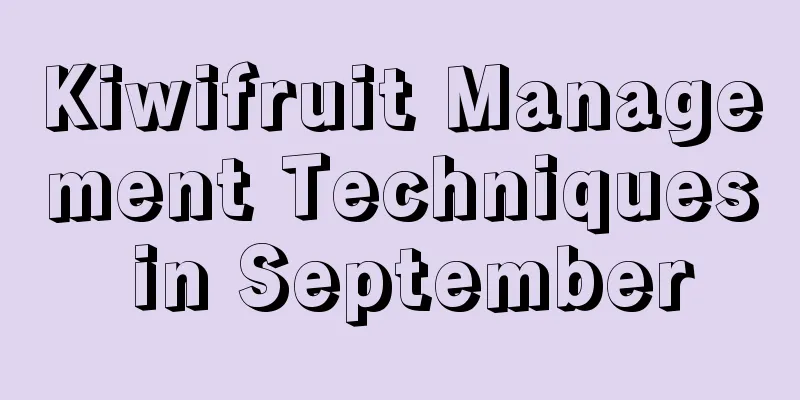 Kiwifruit Management Techniques in September