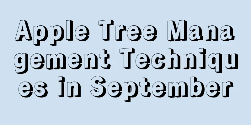 Apple Tree Management Techniques in September