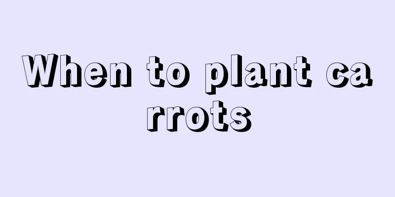 When to plant carrots