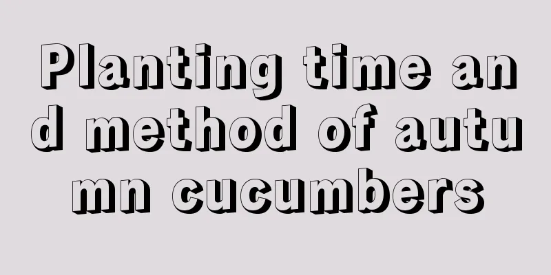 Planting time and method of autumn cucumbers