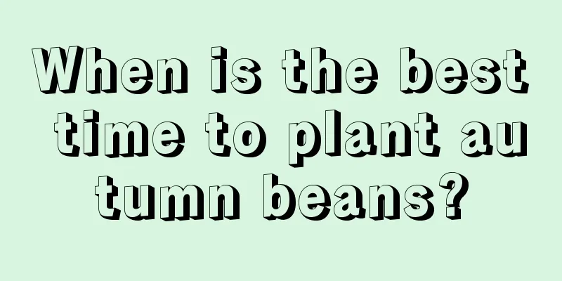 When is the best time to plant autumn beans?