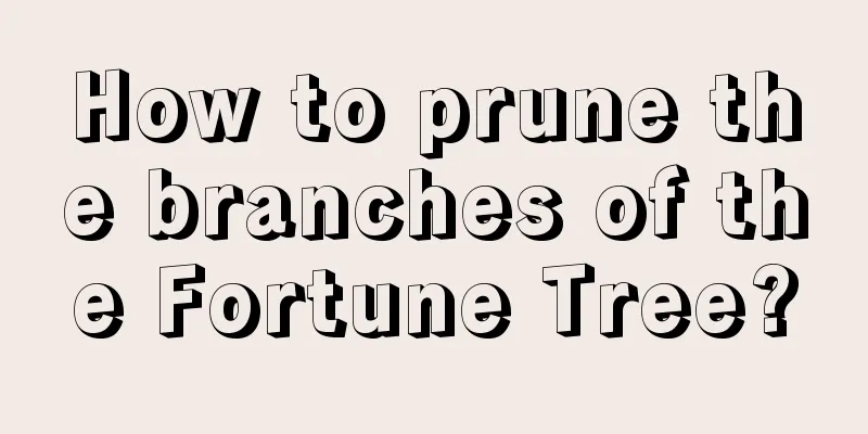 How to prune the branches of the Fortune Tree?