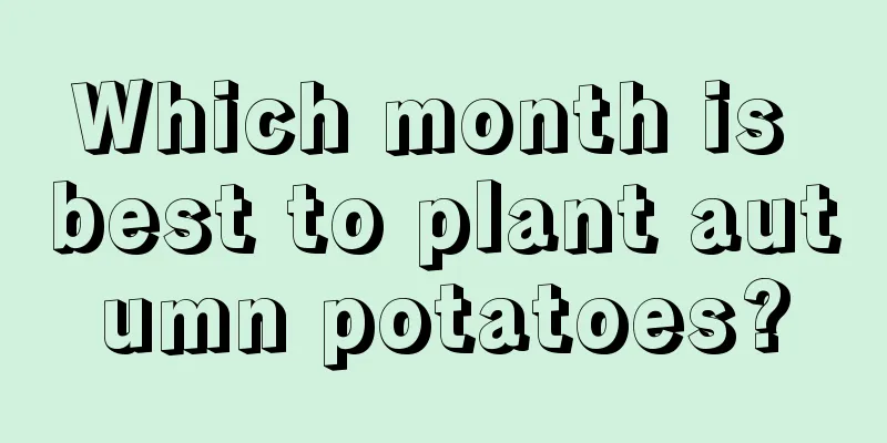 Which month is best to plant autumn potatoes?