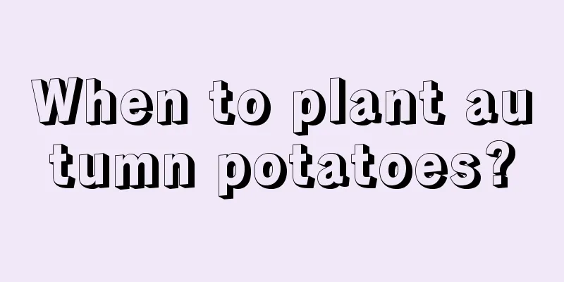 When to plant autumn potatoes?