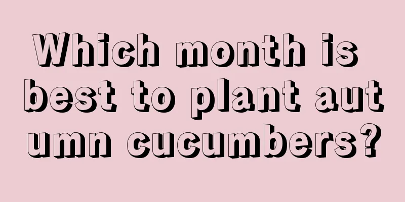 Which month is best to plant autumn cucumbers?