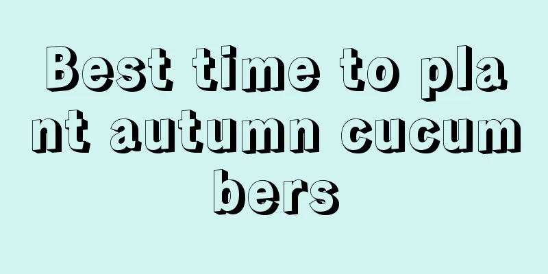 Best time to plant autumn cucumbers